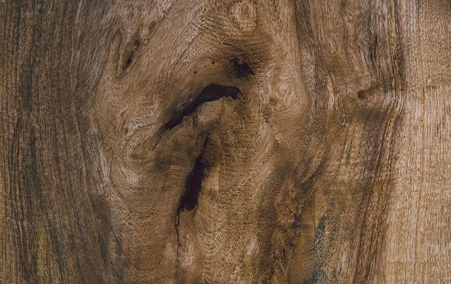 Quali sono i difetti del legno?