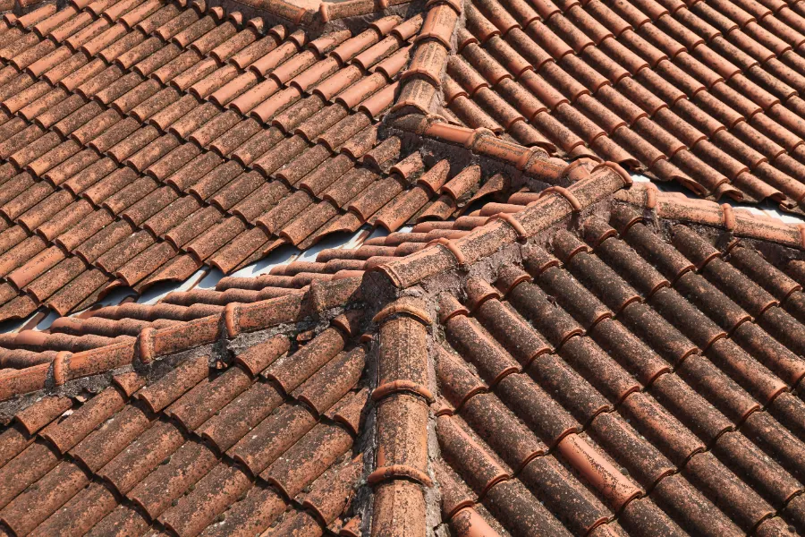 scegliere le tegole