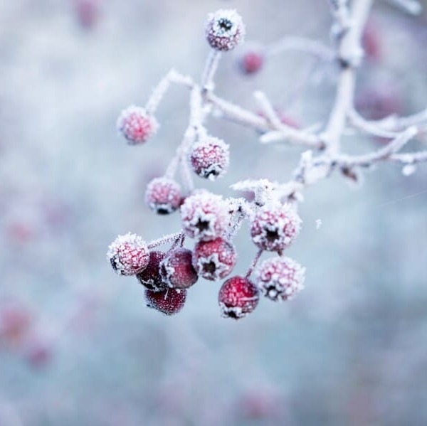 Blog list featured image