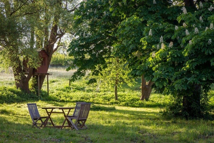 semplificare i lavori in giardino